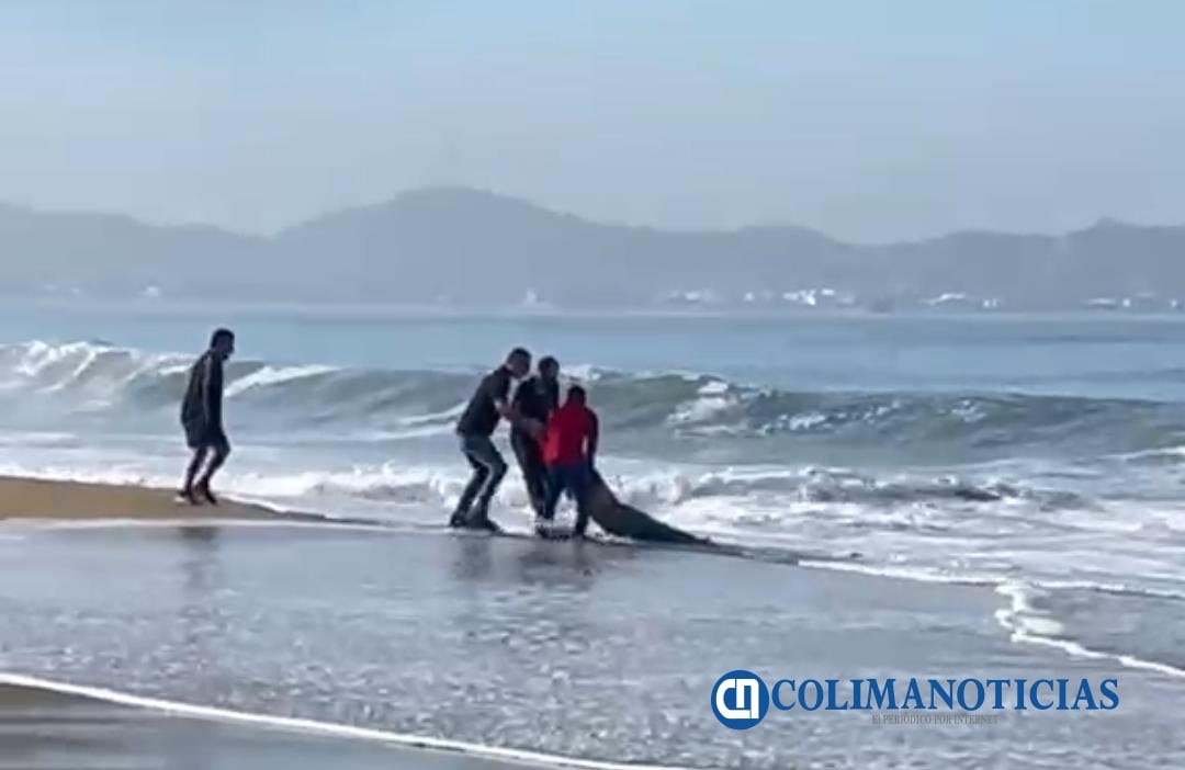 Rescatan a una mujer de las corrientes marinas de playa Azul en Manzanillo