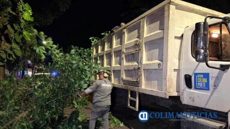 Se continua con la recolección de ramas en el municipio de Colima