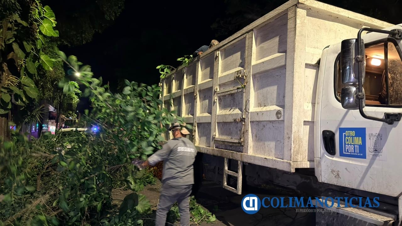 Se continua con la recolección de ramas en el municipio de Colima