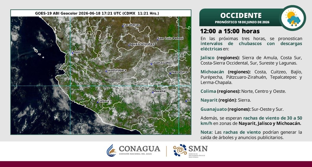 onda tropical número 7