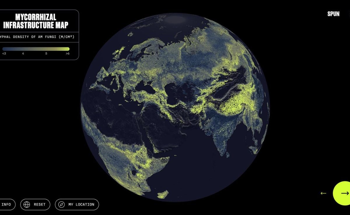 primer-mapa-global-del-sistema-circulatorio-de-la-tierra