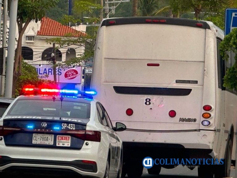 Un adulto mayor fue atropellado por un camión urbano en Santiago