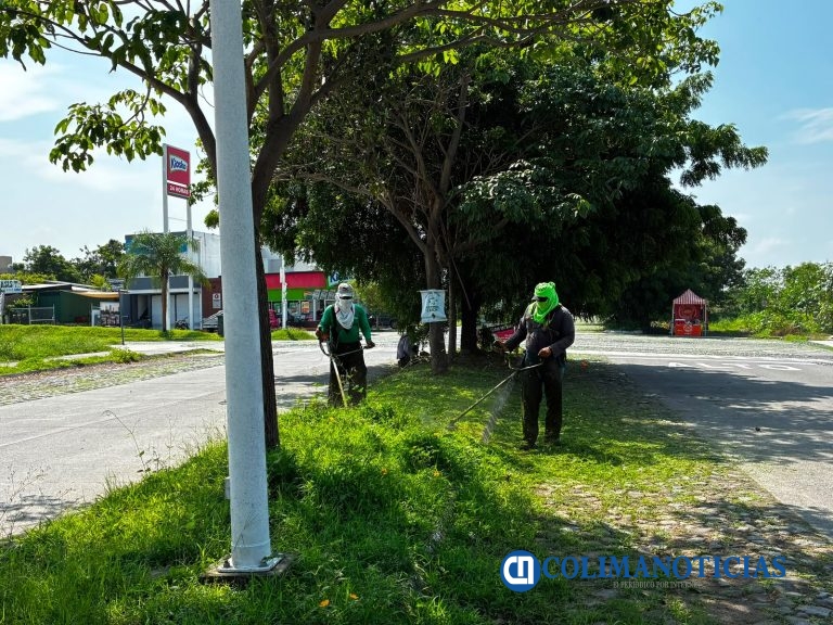 Continúan labores permanentes de poda y limpieza en las principales avenidas de Colima