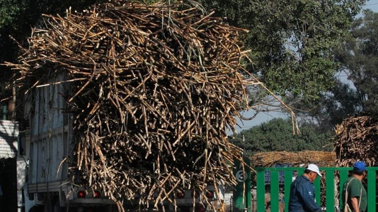 México logra acuerdo con Estados Unidos para incrementar 512% las exportaciones de azúcar