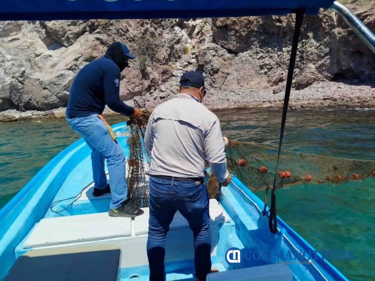 Decomisa Conapesca artes de pesca y producto de mar en costas de Colima