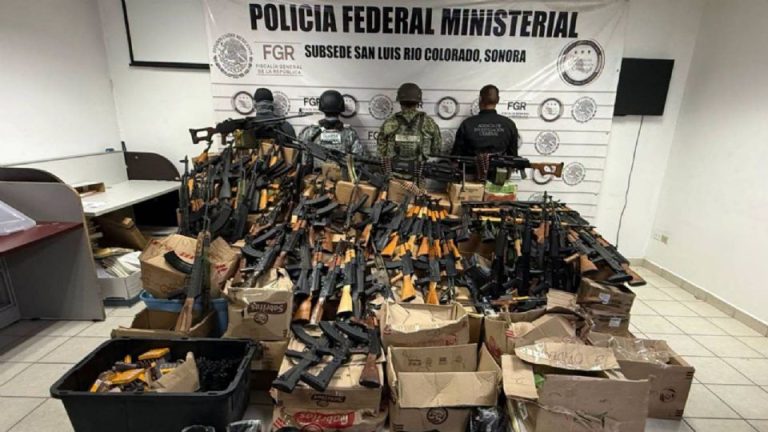 Decomisan más de 80 armas largas y casi 275 mil cartuchos en Sonora