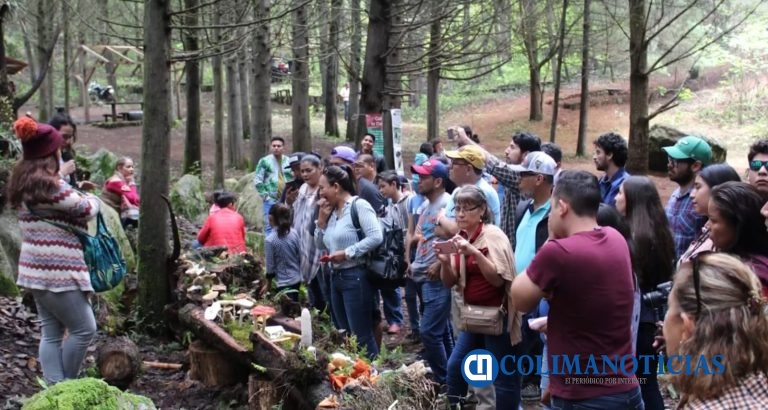 En la Feria del Hongo prohíben llevar mascotas, ingresar motos y extraer elementos del bosque