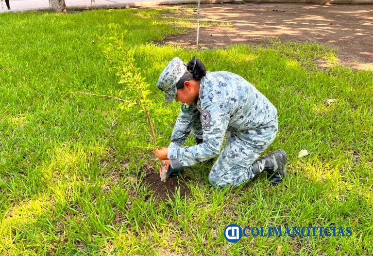 Guardia Nacional fortalece el cuidado ambiental en Colima
