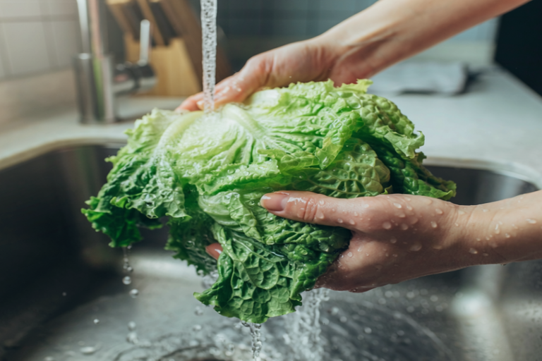 FDA señala a lechuga mexicana como posible origen de brote de enfermedad gastrointestinal en Estados Unidos