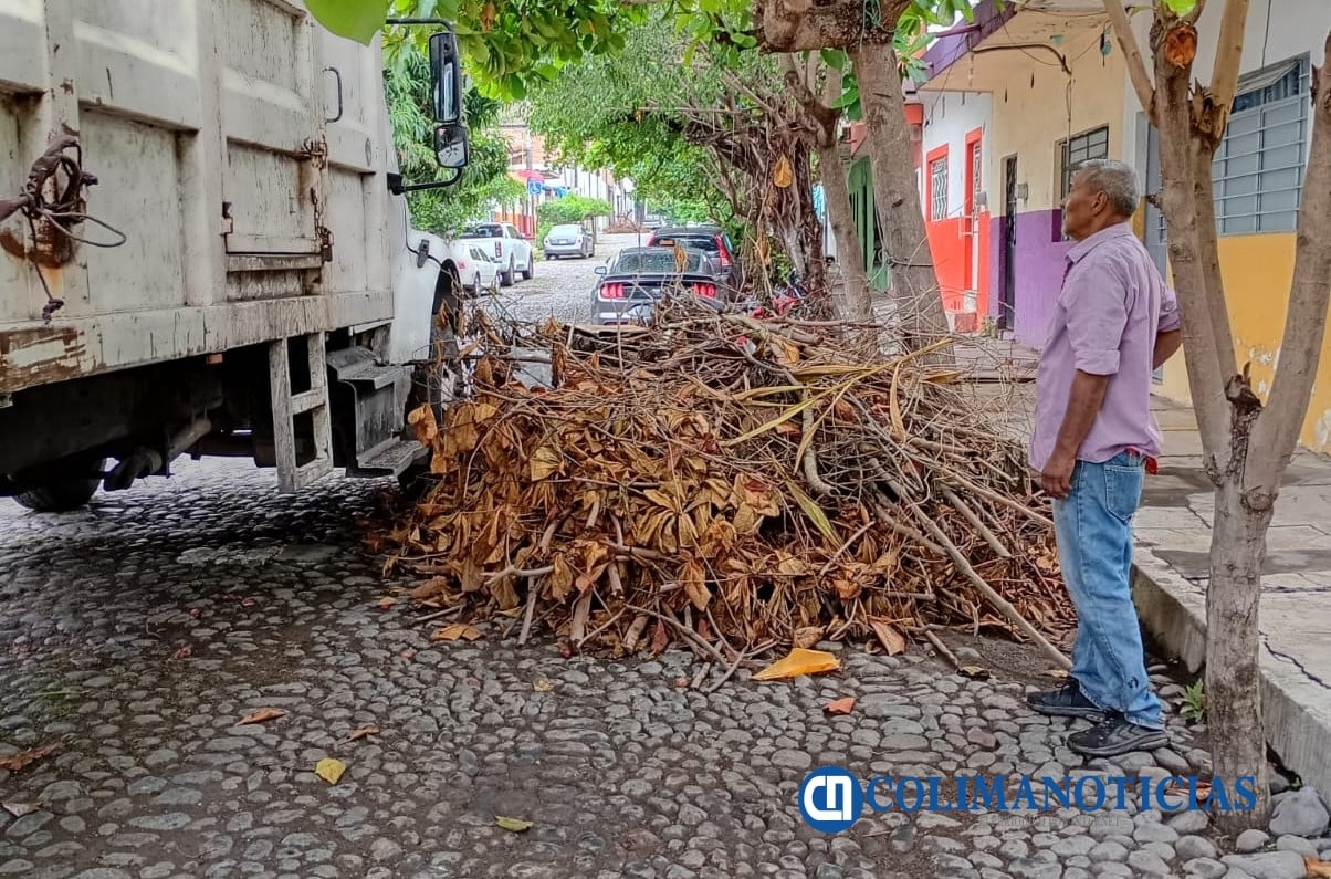 Retiran desechos vegetales de espacios públicos
