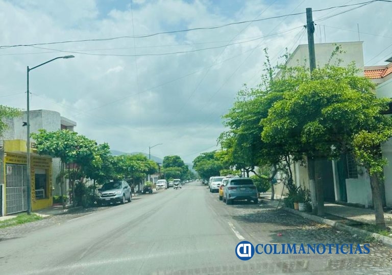 Vecinos de Real del Bosque impulsan parque comunitario tras cancelación de proyecto habitacional