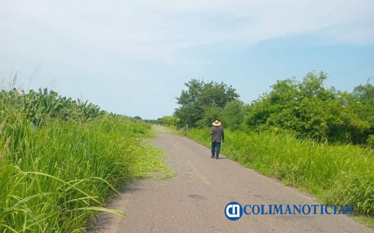 Voluntarios limpian acceso a Boca de Apiza y piden atender el abandono de la carretera