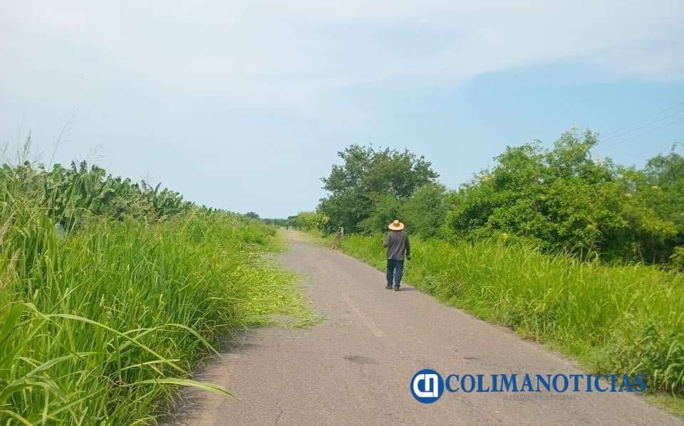 Voluntarios limpian acceso a Boca de Apiza y piden atender el abandono de la carretera