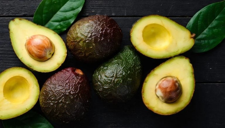 EE.UU. suspende la importación de aguacate de Michoacán