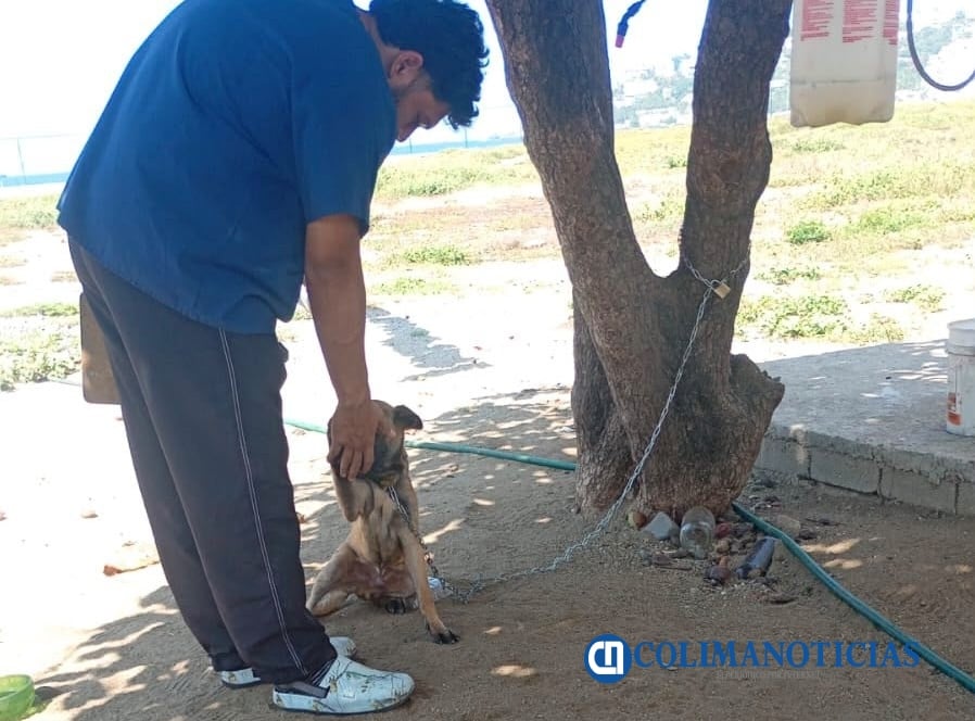Bienestar Animal Manzanillo
