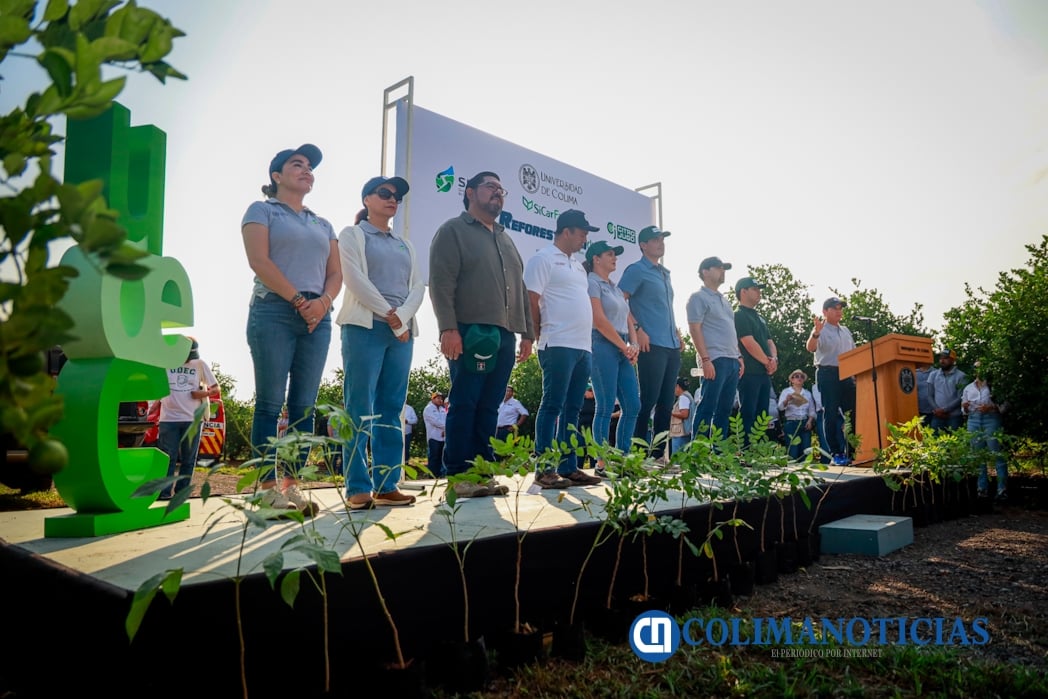 Con ReforestAcción, UdeC plantará más de 12 mil árboles durante 2026_h