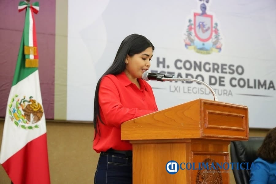 Diputada Betzaida Luz Alondra Pinzón