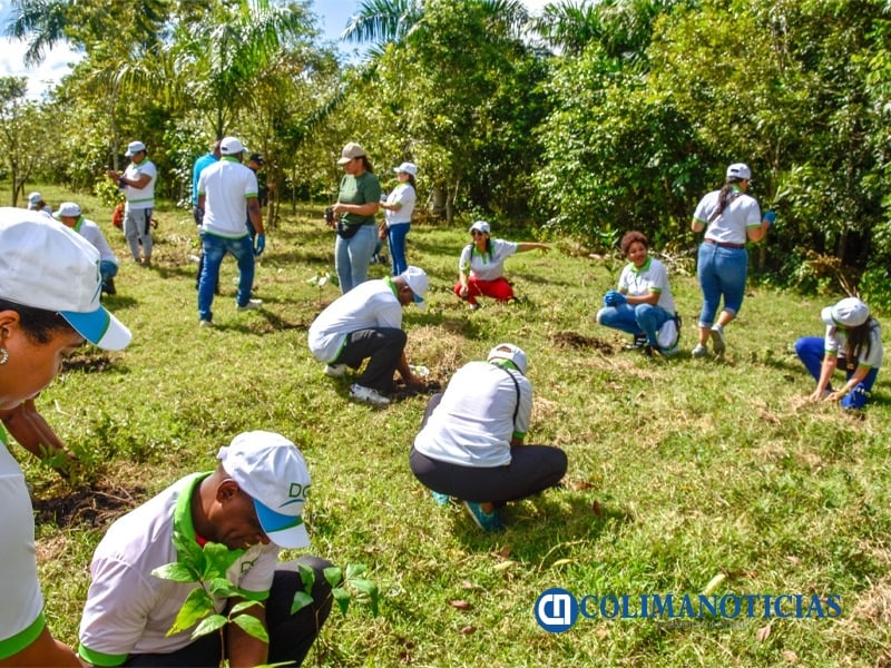 Jornada Nacional de Reforestación