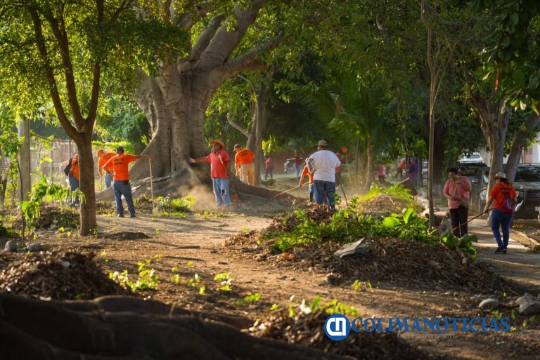 Macro Brigada de Limpieza en VdeA interviene espacio deportivo Dragones