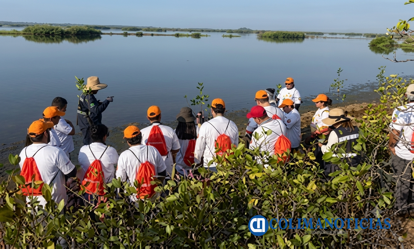 Manglares en la Laguna de Cuyutlán