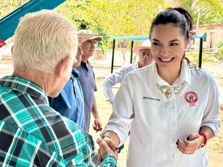 Gestionaré soluciones a nivel municipal y federal, y construiré una agenda legislativa guiada por las ideas de las y los colimenses: Mely Romero
