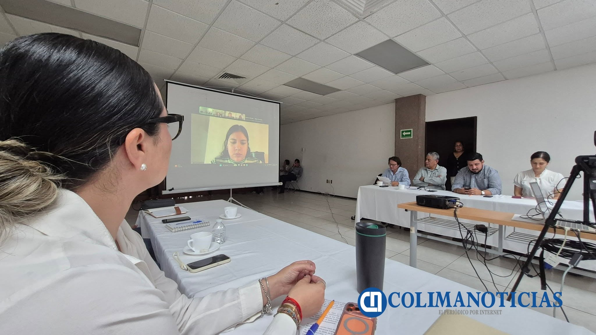 Participa UdeC en análisis de iniciativa para transición energética justa en Colima_a