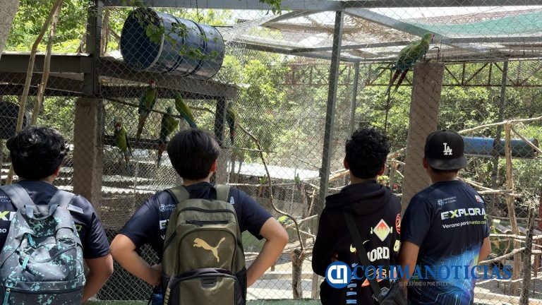 Estudiantes del curso Explora 2.0 conocen acciones para proteger la biodiversidad