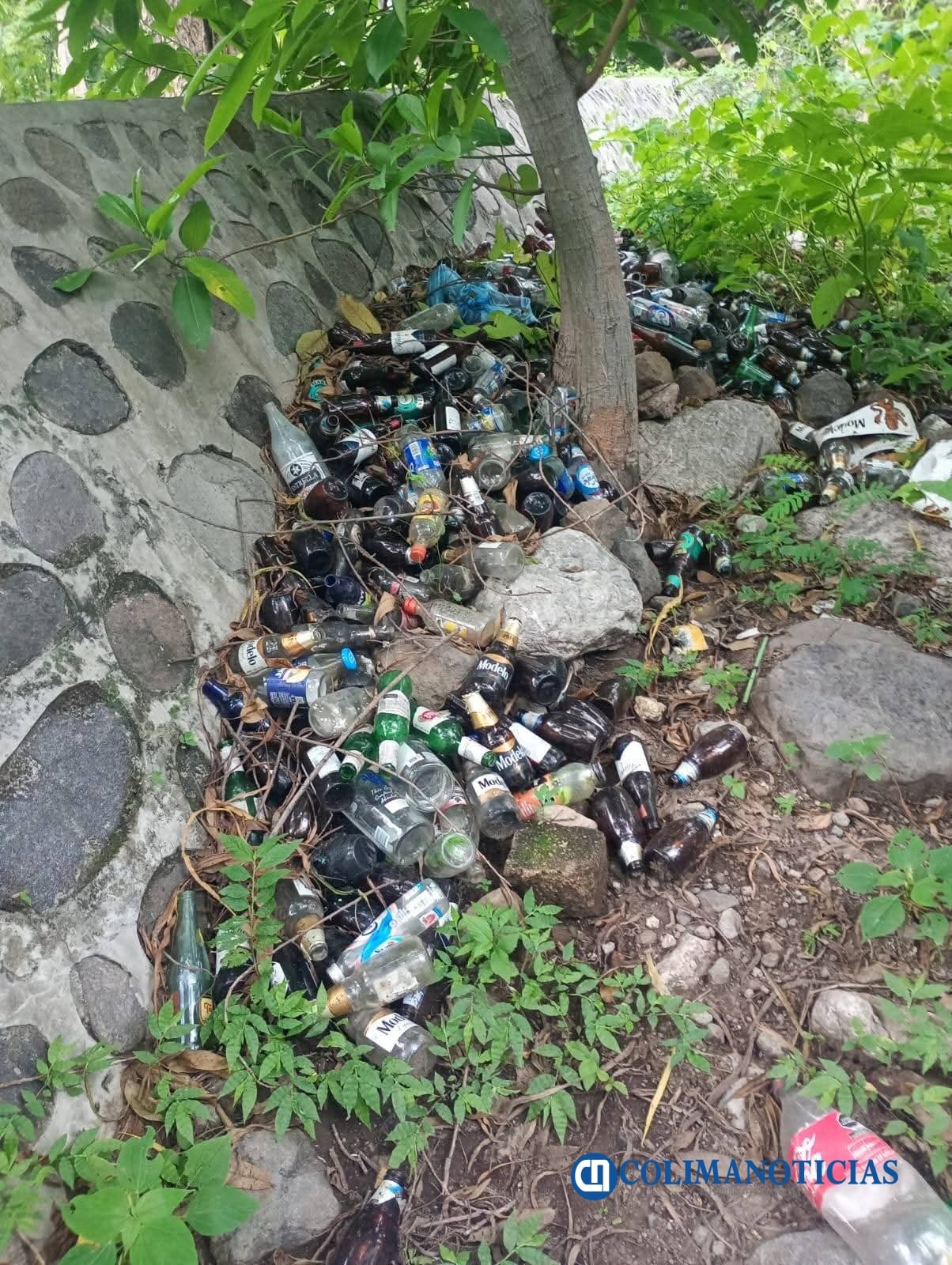 Recogen basural en manantiales de Zacualpan; solicitan a visitantes y trabajadores cuidarlos