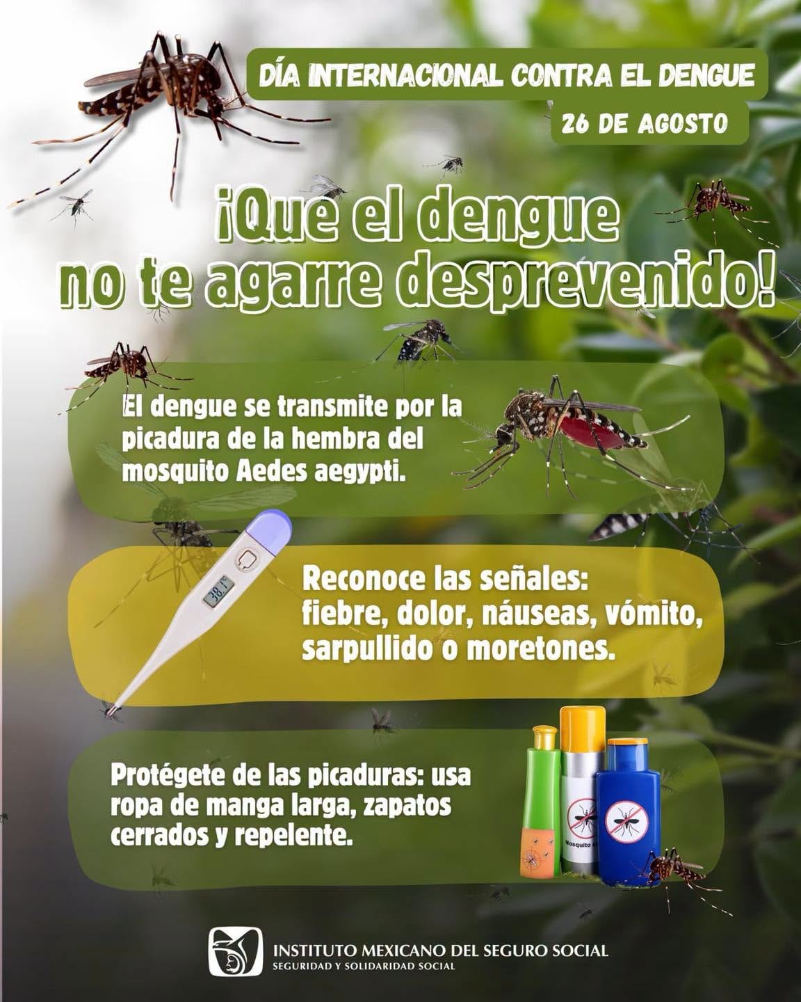 Refuerza IMSS Colima prevención ante riesgo de dengue por temporada de lluvias
