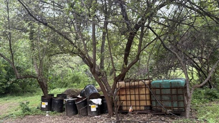 Autoridades desmantelan tres laboratorios clandestinos en Sinaloa; incautan miles de litros de químicos