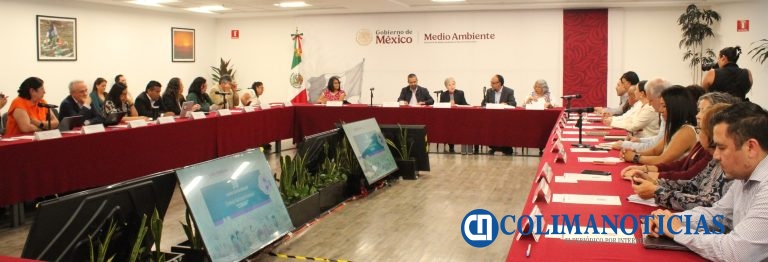 Investigadora de la UdeC será consejera titular de la Representación Académica en el Consejo Nacional Forestal