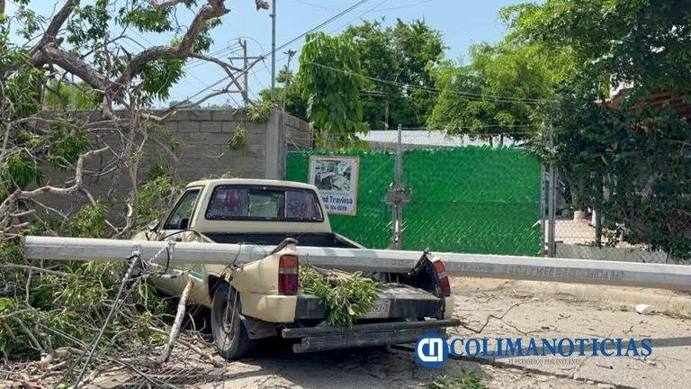 Árbol de Primavera cayó encima de cables y vehículos en la colonia Deportiva de Santiago