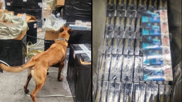 Cigarros Falsificados