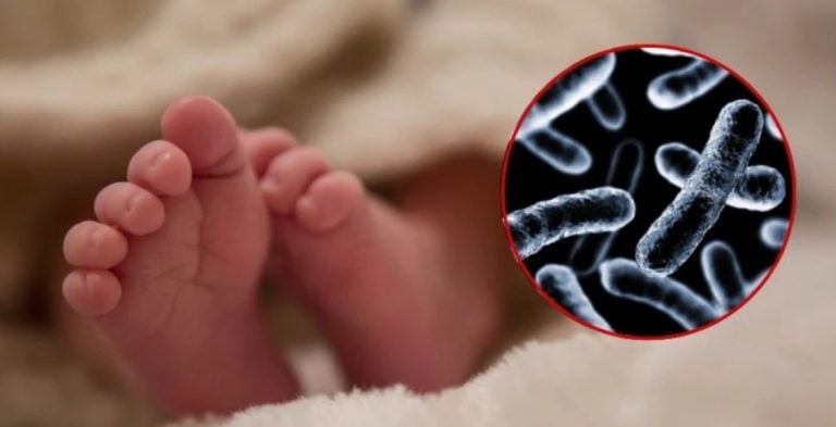 Detectan bacteria en IMSS Durango tras muerte de cinco bebés