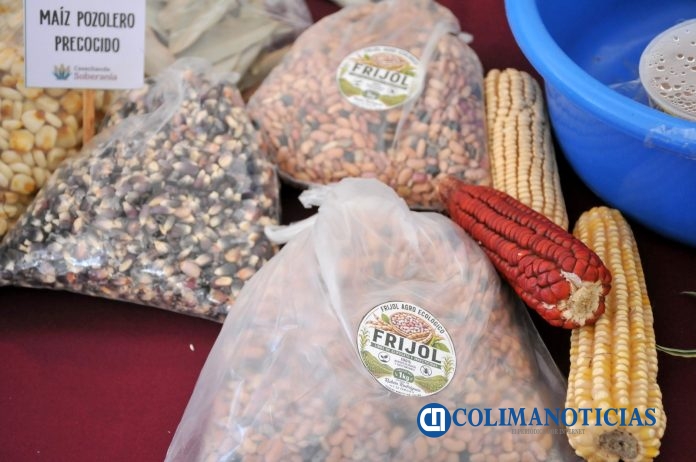 Invitan a celebrar el Día Nacional del Maíz_c
