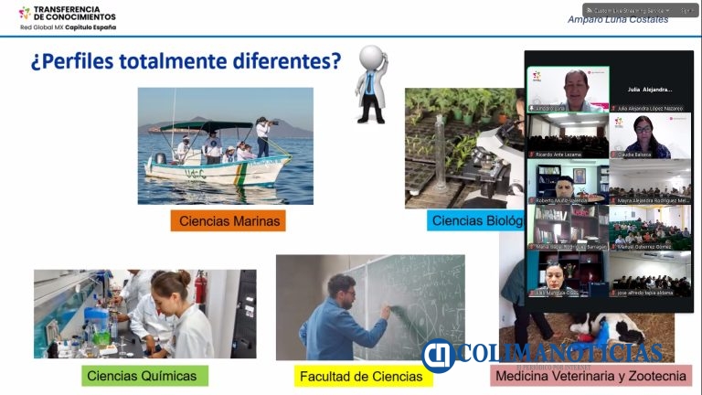 Química, puente entre disciplinas científicas y la vida cotidiana: especialista