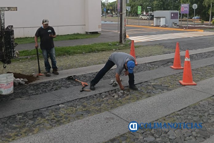 Realiza Ayuntamiento de Colima jornada de reparación de empedrados en Avenida Constitución (2)