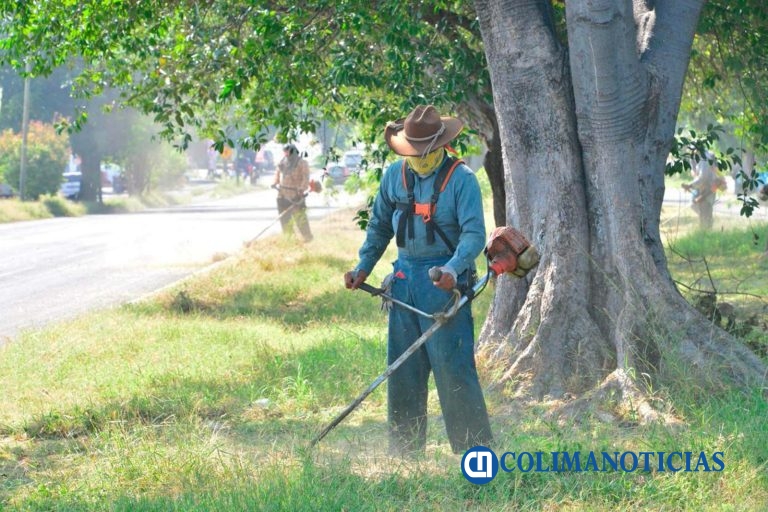 Salud Colima refuerza prevención contra dengue con estrategia ‘Lava, tapa, voltea, tira y poda’; pide participación de la gente