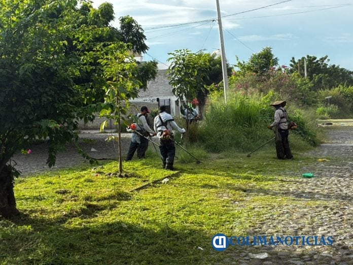 Ayuntamiento de Colima realiza intensa jornada de poda, limpieza y retiro de maleza en la colonia Las Haciendas (2)