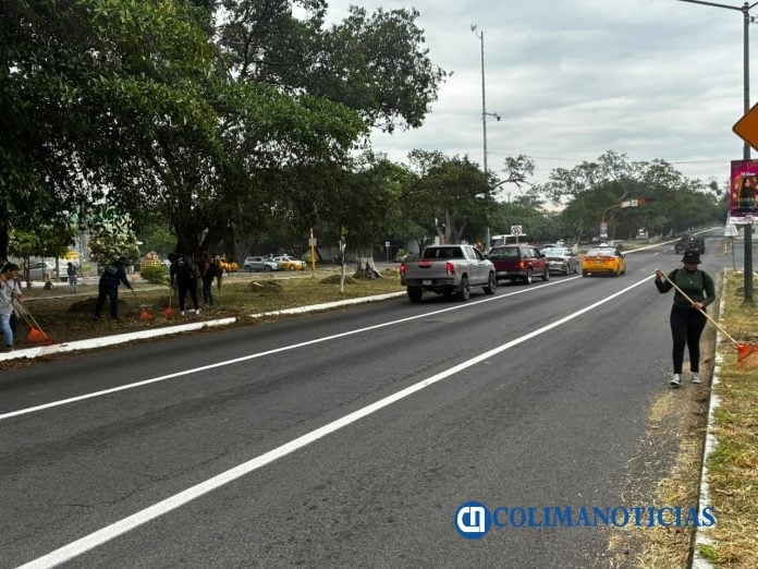 Ayuntamiento de Colima realiza jornada de ordenamiento de áreas verdes en la avenida Niños Héroes (2)