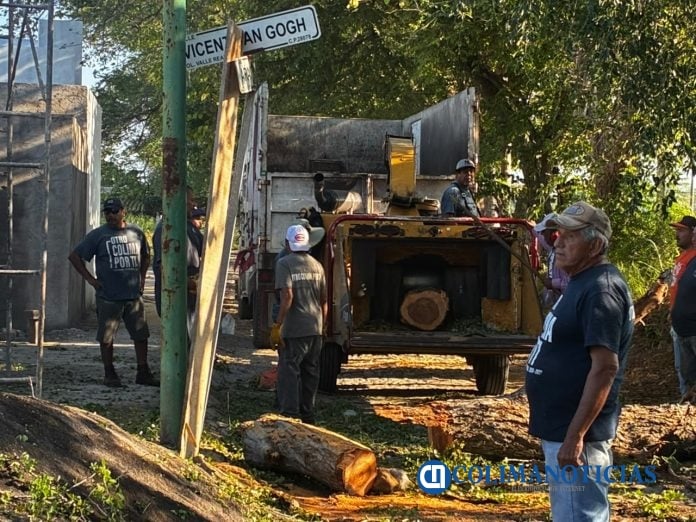 Ayuntamiento de Colima realiza poda preventiva (3)