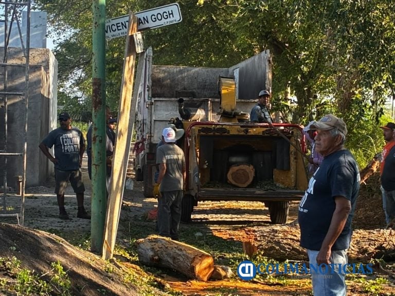 Ayuntamiento de Colima realiza poda preventiva de árbol en riesgo de colapsar, en la colonia Valle Real