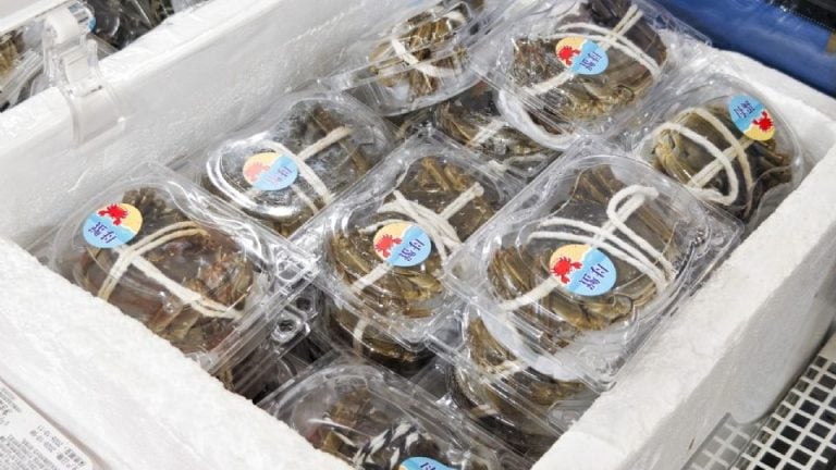 Ciberataque a sistemas de refrigeración afecta alimentos frescos en supermercados de Francia