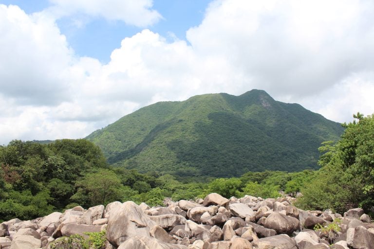 El Rostro del Cambio Climático en Manzanillo: Del Campo a la Agenda Nacional del SCM