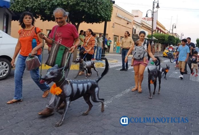 Hoy es el Festival “Camino al Mictlán” en el Museo Regional de Historia de Colima